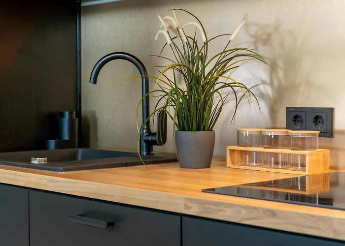 شقة Ringi بارنو